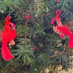 Cardinal Couple Ornaments - Mated Pair Borealis & Aurora - Image 4