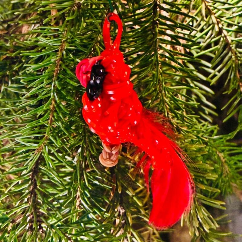 Borealis the Male Northern Cardinal Christmas ornament with red rubber bands and a fluffy tail, perched on a branch.