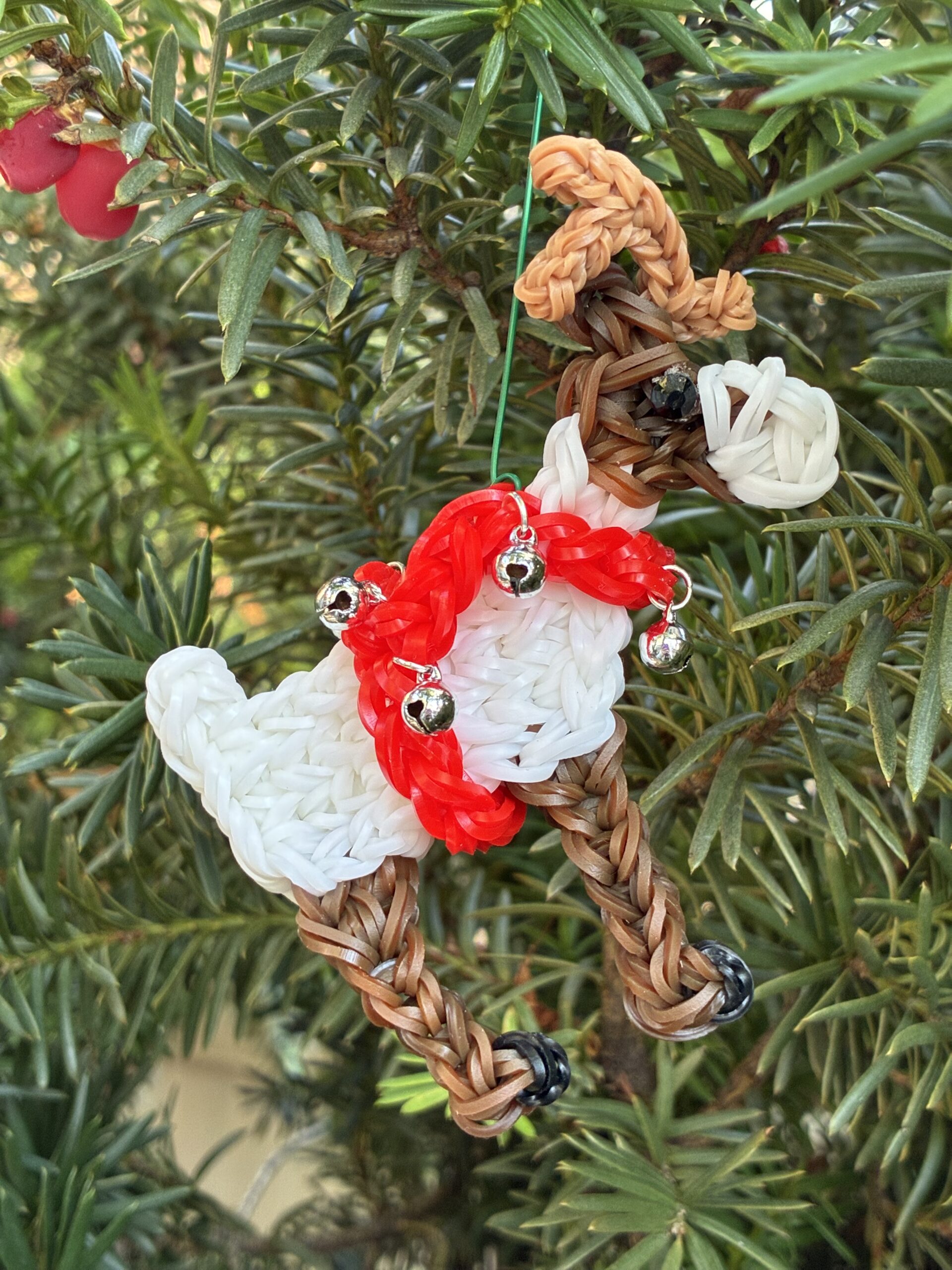 IMG_0920 Cupid the Reindeer - Image 1
