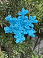 Sparkling Blue Snowflake II